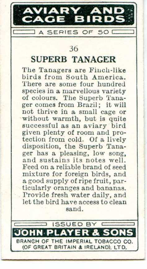SUPERB TANAGER — AVIARY AND CAGE BIRDS UK CARDS (1933)