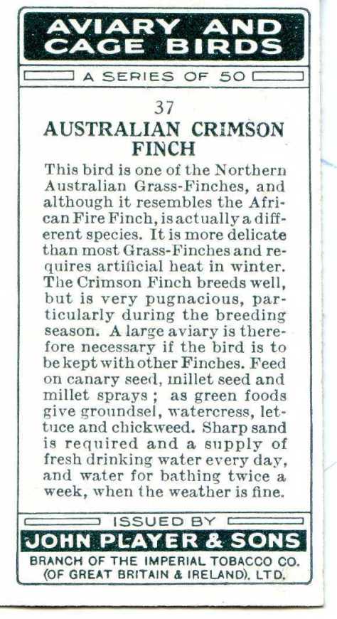 AUSTRALIAN CRIMSON FINCH — AVIARY AND CAGE BIRDS UK CARDS (1933)
