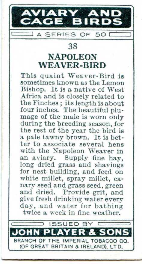 Napoleon Weaver-Bird — AVIARY AND CAGE BIRDS UK CARDS (1933)