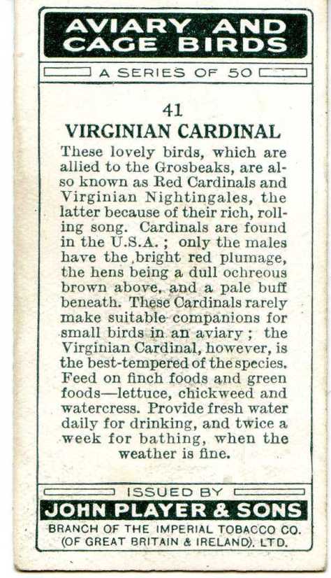 VIRGINIAN CARDINAL — AVIARY AND CAGE BIRDS UK CARDS (1933)