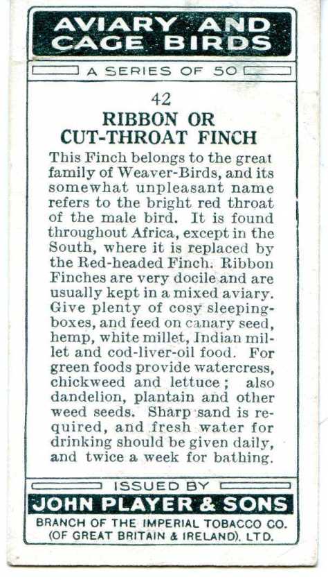 RIBBON OR CUT-THROAT — AVIARY AND CAGE BIRDS UK CARDS (1933)