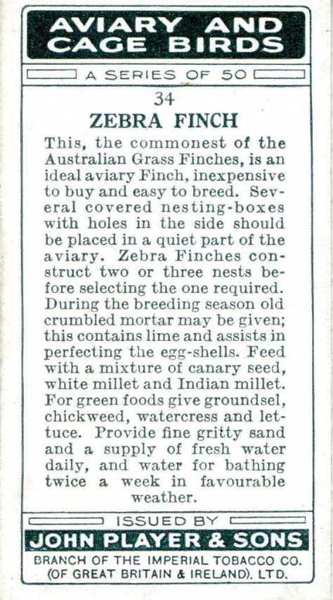 ZEBRA FINCH — AVIARY AND CAGE BIRDS UK CARDS (1933)